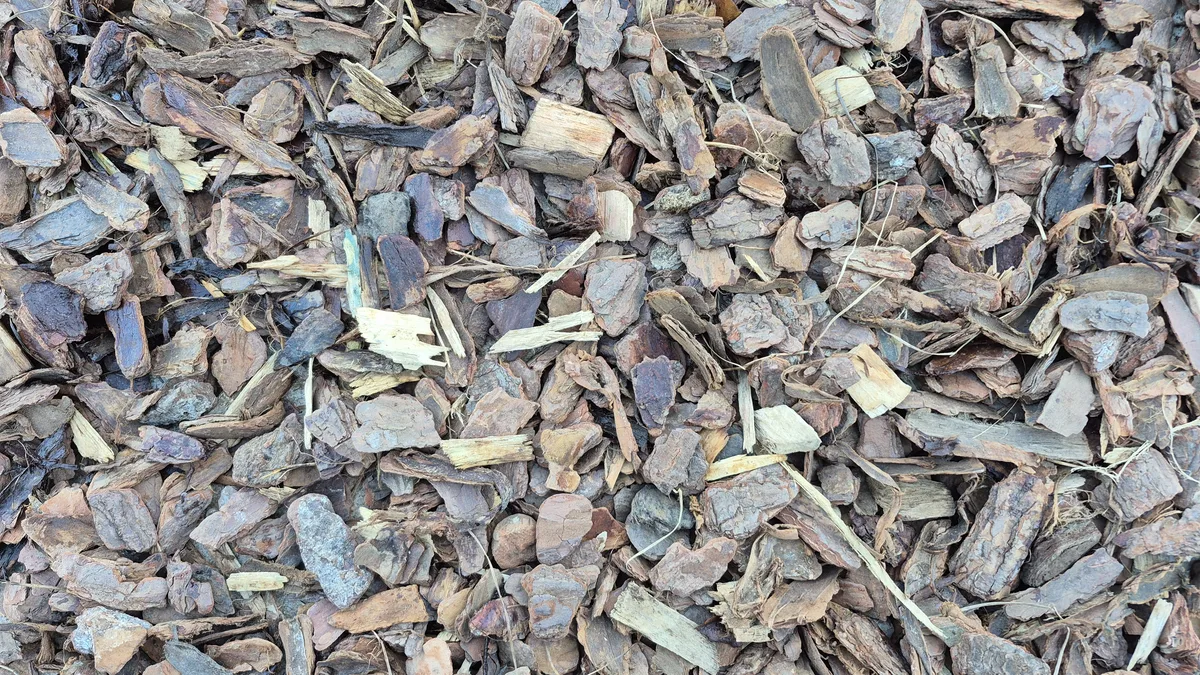 Casca de Pinus Rústica Zaria